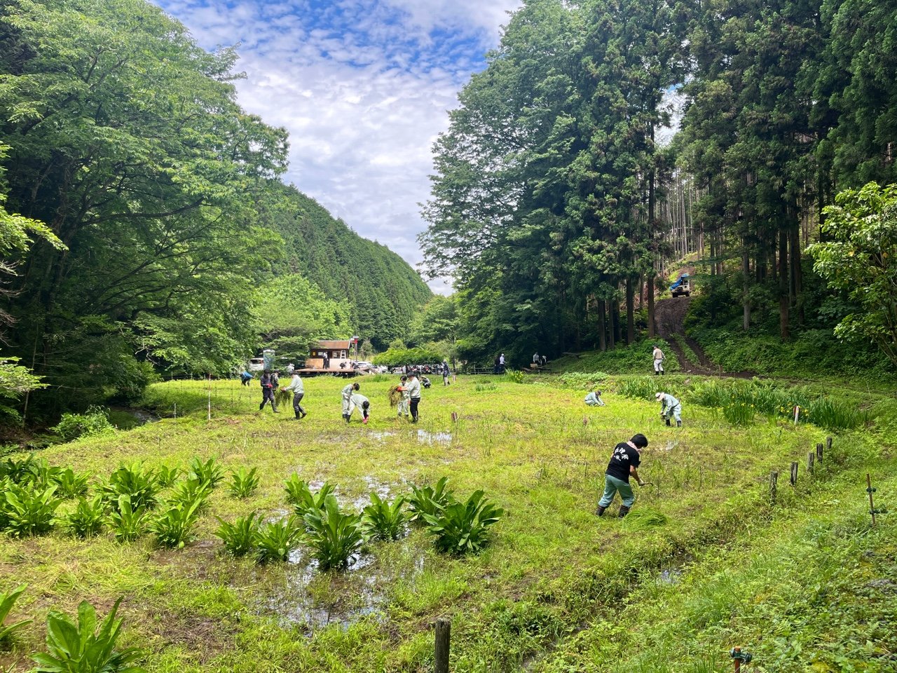 ＳＤＧｓトピックス　『御前山ビオトープ育成活動』に参加しました。