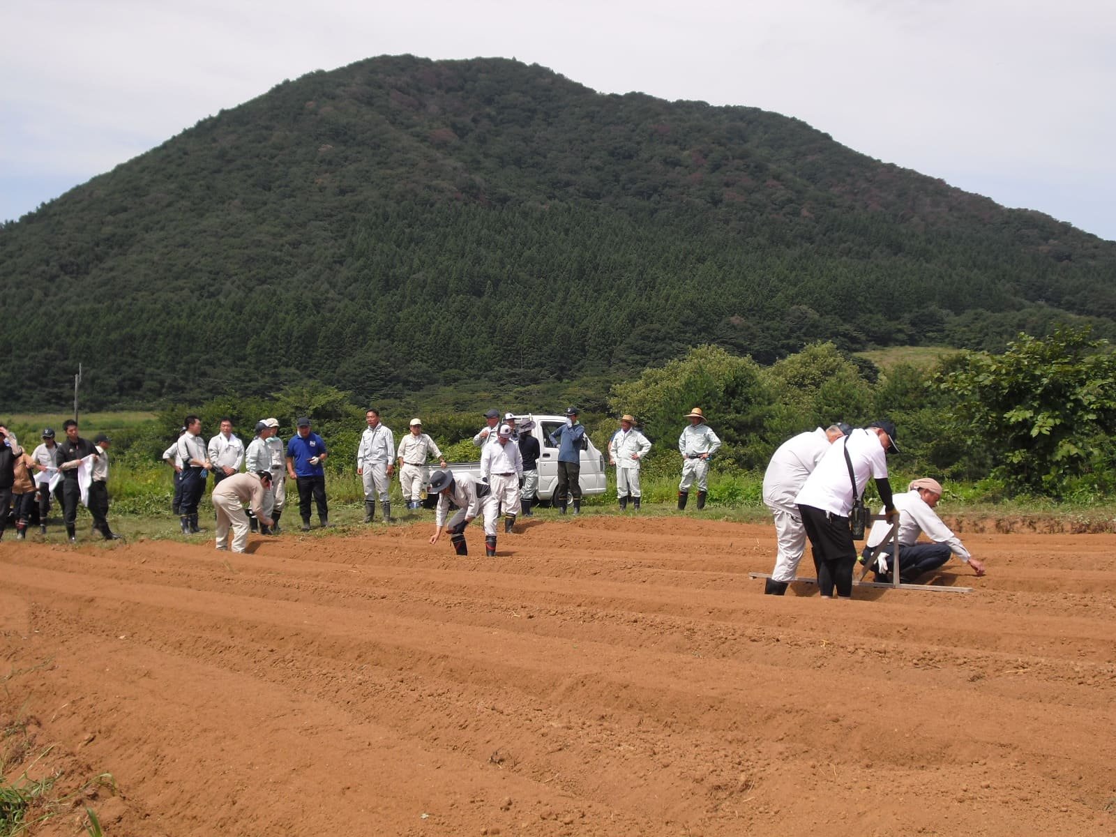 ＳＤＧｓトピックス　「令和７年度　荒廃農地解消活動（大根栽培作業）」に参加しました。